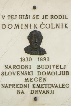 Foto: MIT_Ivan Majc_Čolnikova trta