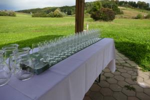 Degustacija mineralne vode