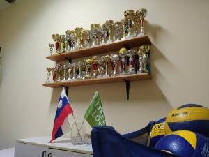 Obnova Športne dvorane