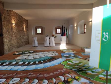 234811290_1487446268299472_4735269755666395023_n