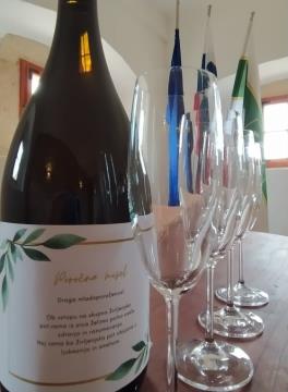 236107772_570447547319293_4154196768894796439_n